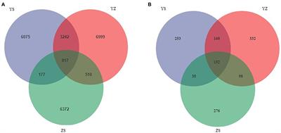 Litter mixing promoted decomposition rate through increasing diversities of phyllosphere microbial communities